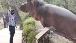 Security guard
