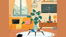 Seek and Find: Spot the TV remote in 11 seconds