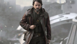 Search of Cassian Andor’s sister ended? Diego Luna disagrees