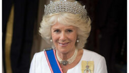 Queen Camilla laughed at her “amazing” ladder climb