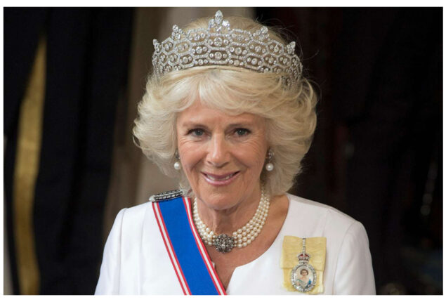 Queen Camilla laughed at her “amazing” ladder climb