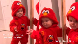 Watch viral: Little girl’s first Elmo outfit is adorable