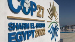 cop27 developing countries