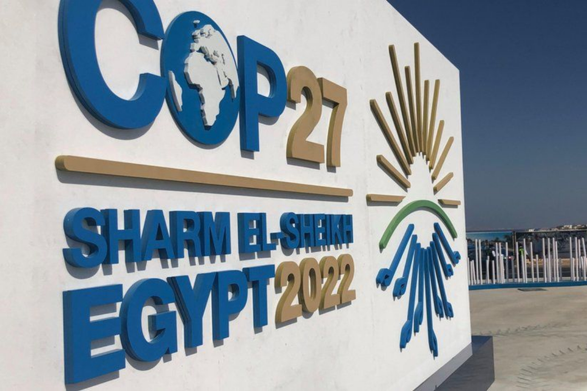 cop27 developing countries