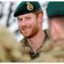 Photos of Prince Harry in military uniform surface on Veterans Day