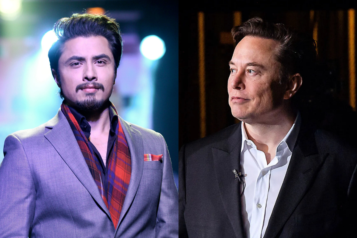 ali zafar elon musk