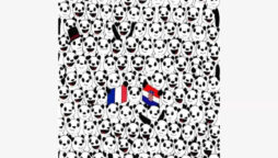 Optical illusion: Can you find the football among the pandas in 13 seconds?