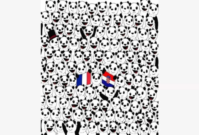 Optical illusion: Can you find the football among the pandas in 13 seconds?