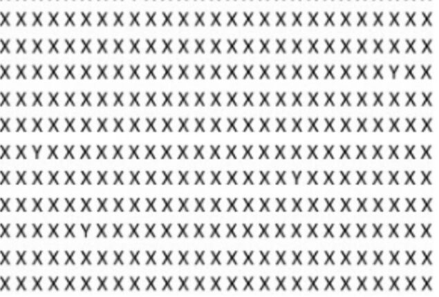 find the five Ys