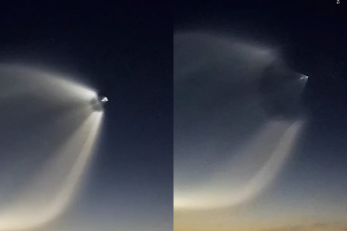 Tadpole or UFO