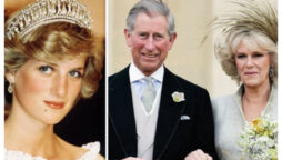Princess Diana overheard King Charles’ & Camilla ‘filthy’ bathroom discussion