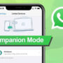 WhatsApp is introducing Android beta with mobile companion