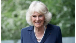 Camilla’s redemption is The Firm’s “biggest PR effort”