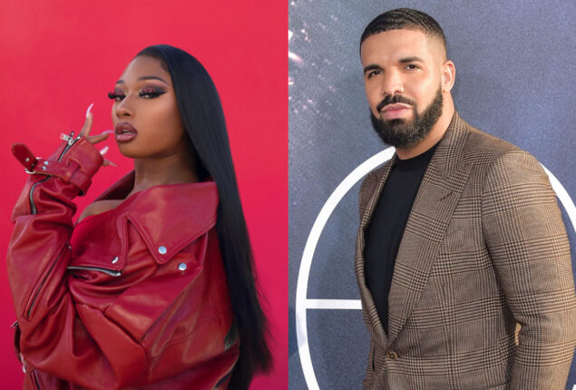 meghan thee stallion