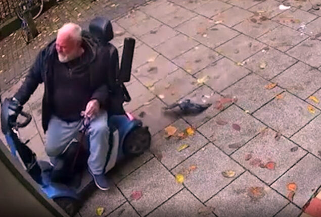‘Animal lover’ OAP kills bird with scooter and cane