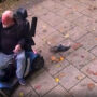 ‘Animal lover’ OAP kills bird with scooter and cane