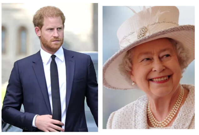 Prince Harry gives Queen Elizabeth a whole chapter