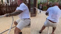 “Scariest man” Martyn Ford responds to liger tug of war criticism