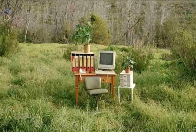 find pigeon
