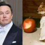 Elon Musk Twitter Bird Pumpkin for Halloween
