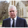 Prince Andrew starts doing charity work to rehabilitate his image