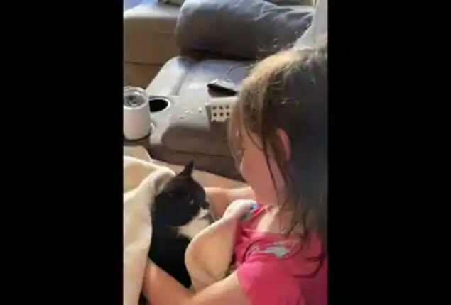 Video of a young girl singing to her adorable kitten goes viral