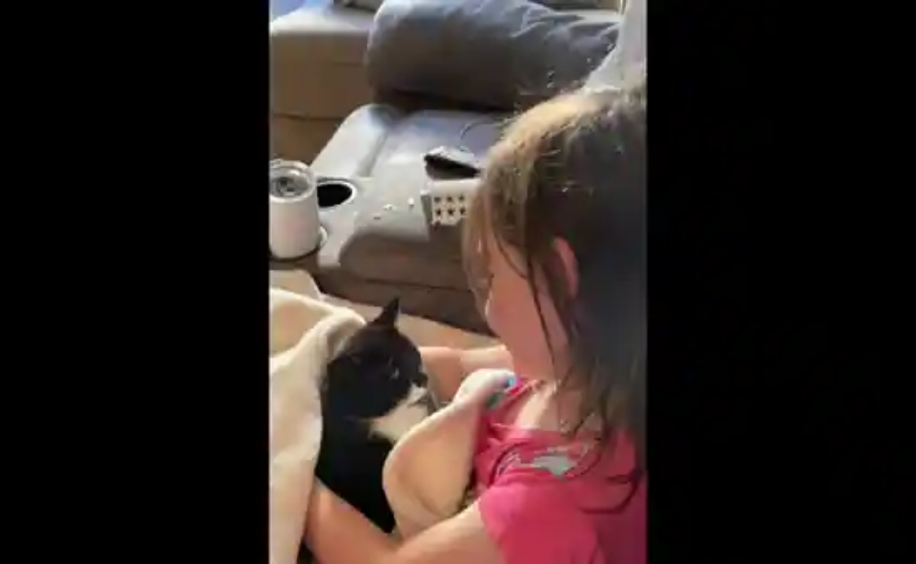 Video of a young girl singing to her adorable kitten goes viral