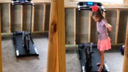 Watch: Little girl teach a cat to use a treadmill is cute