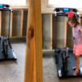 Watch: Little girl teach a cat to use a treadmill is cute