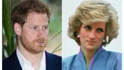 Prince Harry will discuss Princess Diana’s terrible death