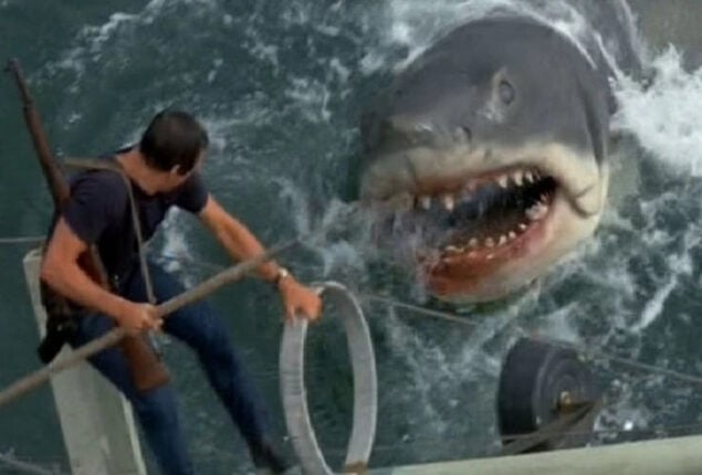 This video of shark landing on a fishing boat resembles film Jaws