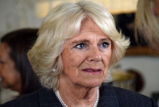 Queen Consort Camilla becomes anxious at Significant royal event