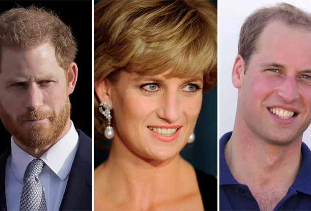 Prince Harry reveals Prince William also feels Princess Diana around him
