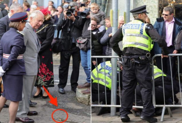 Protester throw eggs at King Charles III and Queen consort Camilla