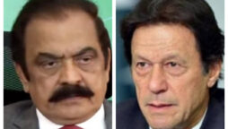 Sana invites Imran for talks if wants date for elections