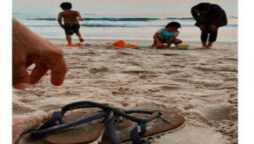 Shahid Kapoor shares pic of Mira Rajput and kids on the beach