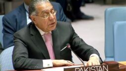 Pakistan pushes for increase in non-permanent members to make UNSC more representative