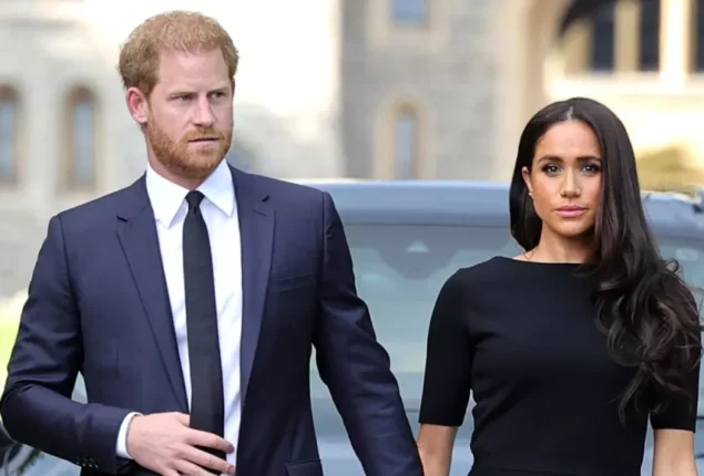 Royal Family acted as though Prince Harry and Meghan Markle “didn’t exist”