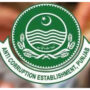 ACE Punjab arrests PML-N Senator’s son