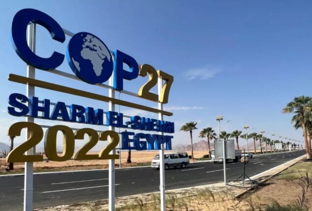 At COP27, Pakistan to lead push for compensation to developing countries