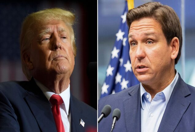 Trump knocks DeSantis, a rising Republican opponent, in the US election