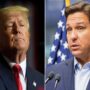 Trump knocks DeSantis, a rising Republican opponent, in the US election