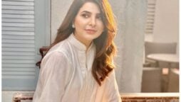 Areeba Habib apologizes for her halloween attire