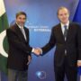 Pakistan-EU hold broad-based political dialogue in Brussels