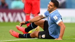 FIFA World Cup 2022 Live Score: Uruguay vs South Korea Full Highlights