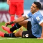 FIFA World Cup 2022 Live Score: Uruguay vs South Korea Full Highlights