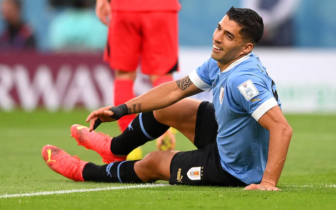 FIFA World Cup 2022 Live Score: Uruguay vs South Korea Full Highlights