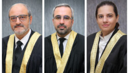 IHC judges