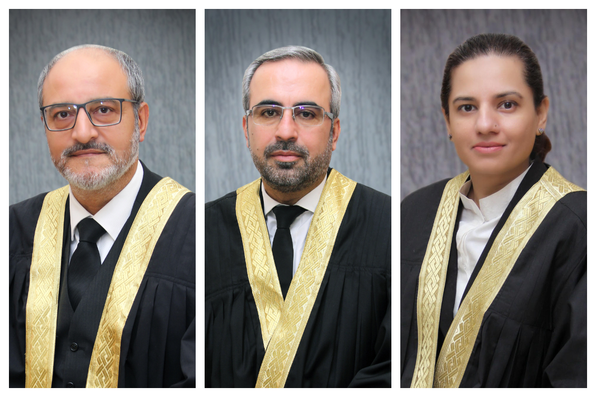 IHC judges