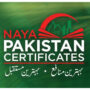 Naya Pakistan certificates investment halves to $763mn in six months